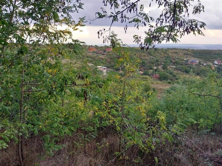 RECO Teren cu panorama 2350mp Podgoria - 1