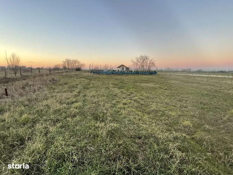 Teren intravilan 474 mp Sanpaul | Front stradal de 22 m | 16.000 E - 2