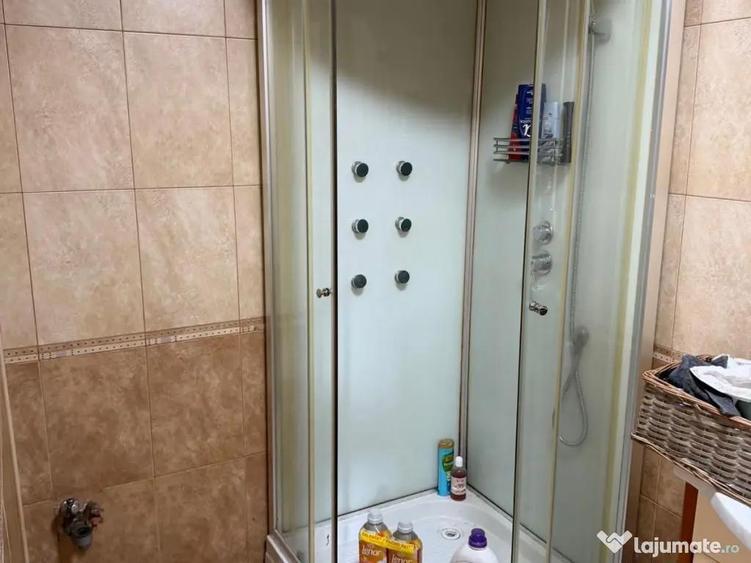 Casa de vanzare sau inchiriere - 8