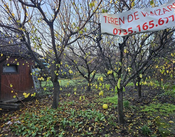 Teren de vanzare - 3