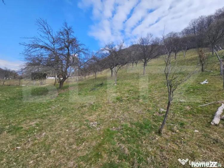 Teren intravilan generos de 4000 mp, cu priveli?te montana - 1