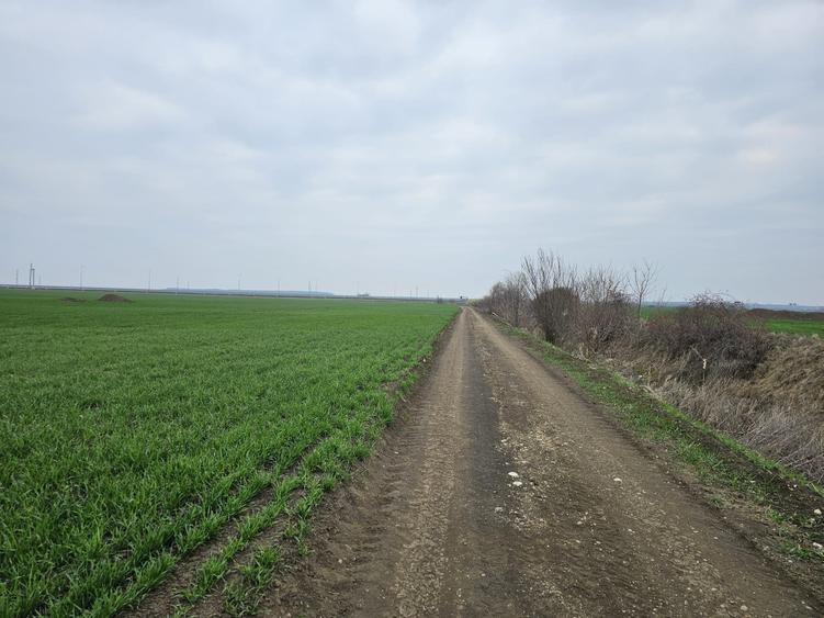 Teren de vânzare  Tunari  27 euro mp - 1