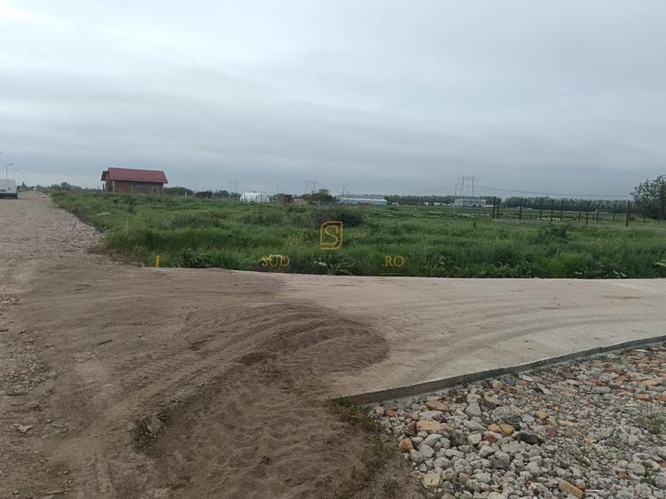 Teren de vanzare, Frumusani, Ilfov, ideal investitie, DNCB - 4