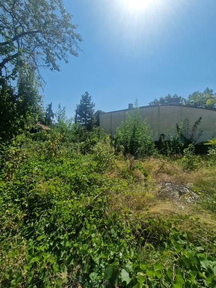 Bd Ghencea-Sergent Major Cara Anghel,820mp,ideal bloc,proprietar,0% comision - 6