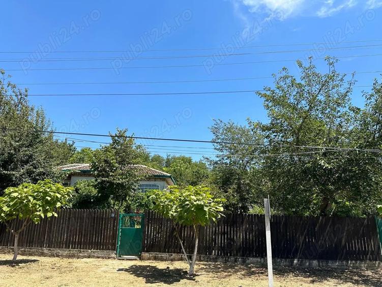 Casa batraneasca de vanzare, Oltina, Constanta, teren 1100mp, aproape de Dunare - 10