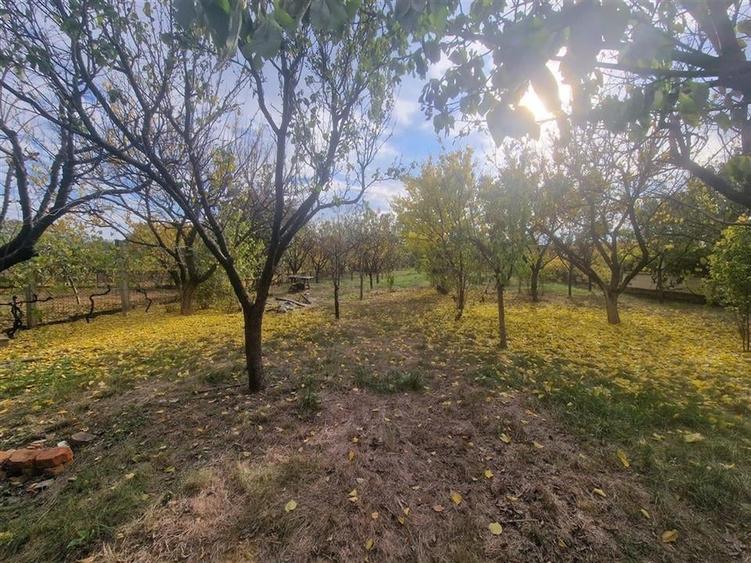 RECO Vila deosebita  in Santandrei cu teren generos - 45