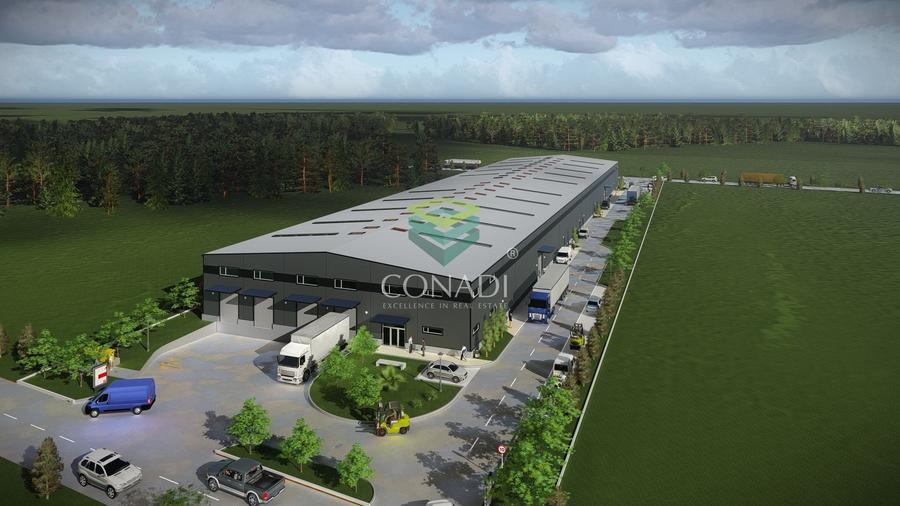 Teren de vanzare cu autorizatie pentru 2 hale - Otopeni - 10.000 mp - 1