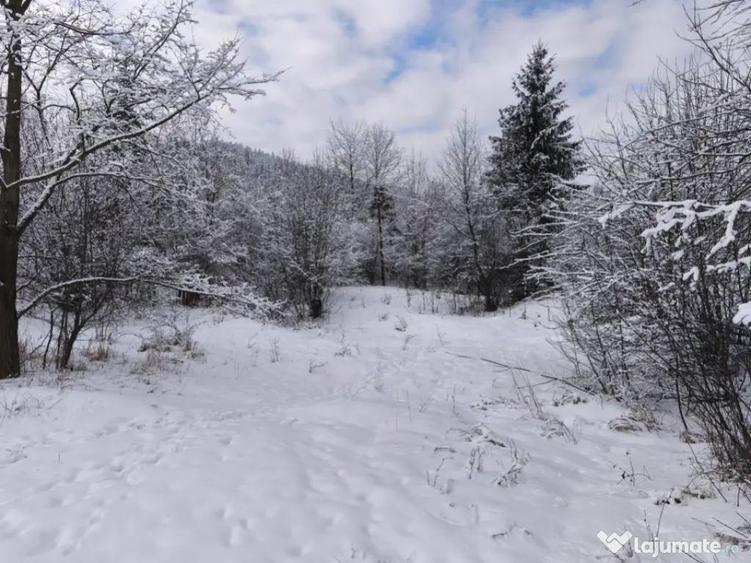 Teren intravilan, 22600mp, zona Manastirea Sucevita - 5