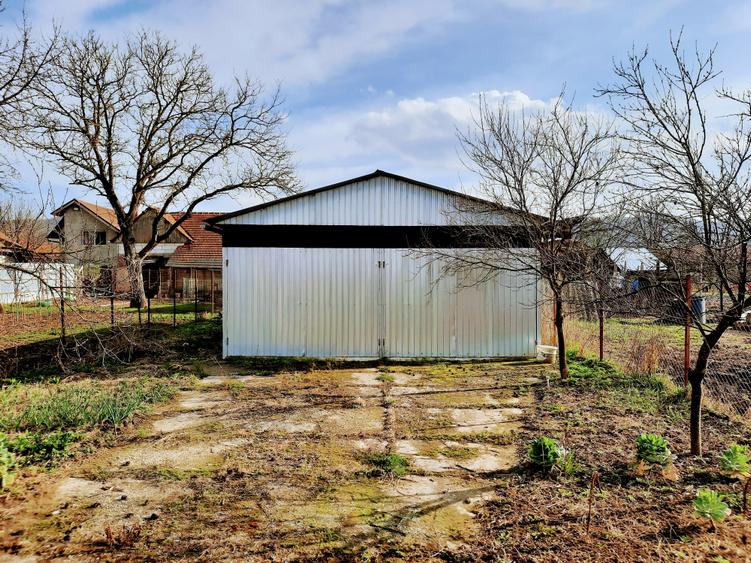 Ilia, proprietate deosebita - 11