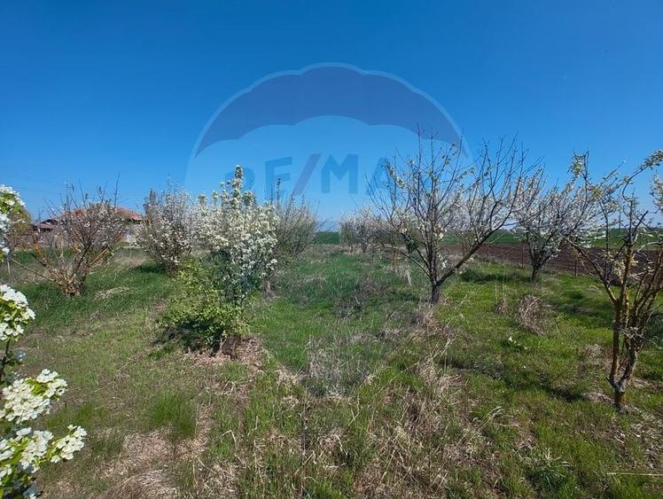 Casa de vanzare cu teren de 2175 mp,anexe si livada generoasa | Mailat - 16
