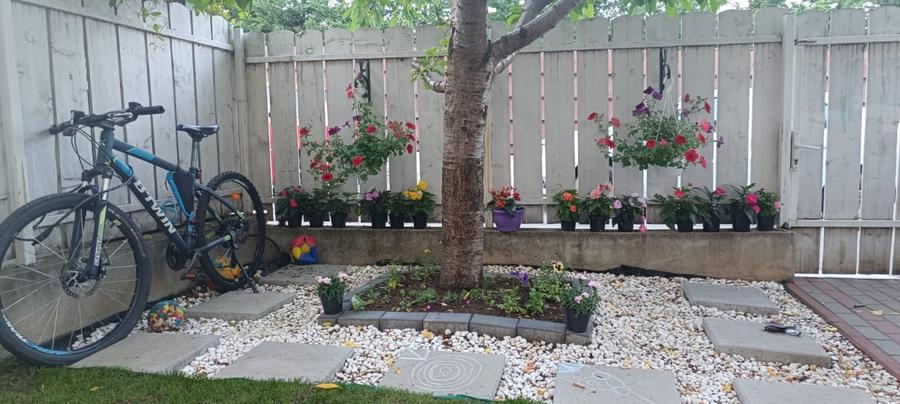 CASA VALEA LUPULUI,3 CAMERE, 2 BAI, VALEA LUPULUI-500 M MALL MOLDOVA - 6