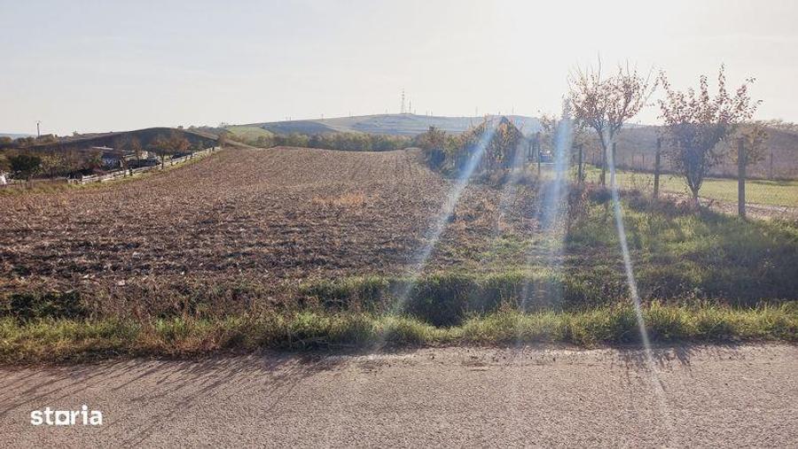 Teren de vanzare - 1