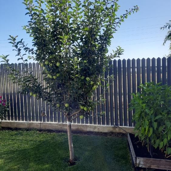 Vanzare proprietate - 2