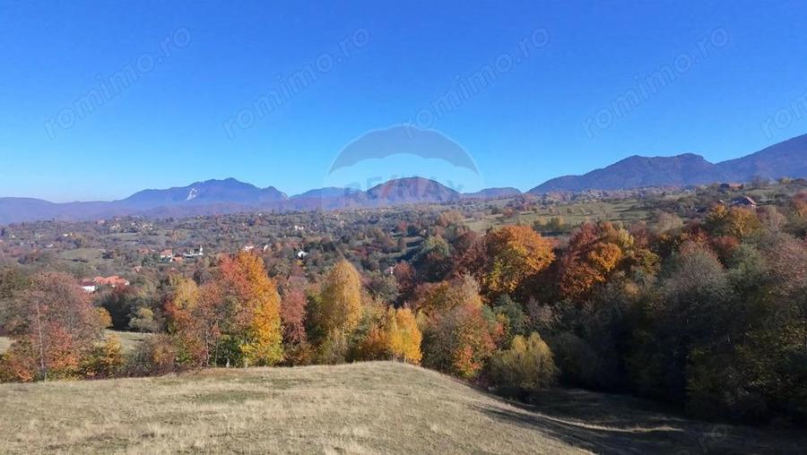 Teren 3,500mp Bran / Strada Bradul Inalt - 2