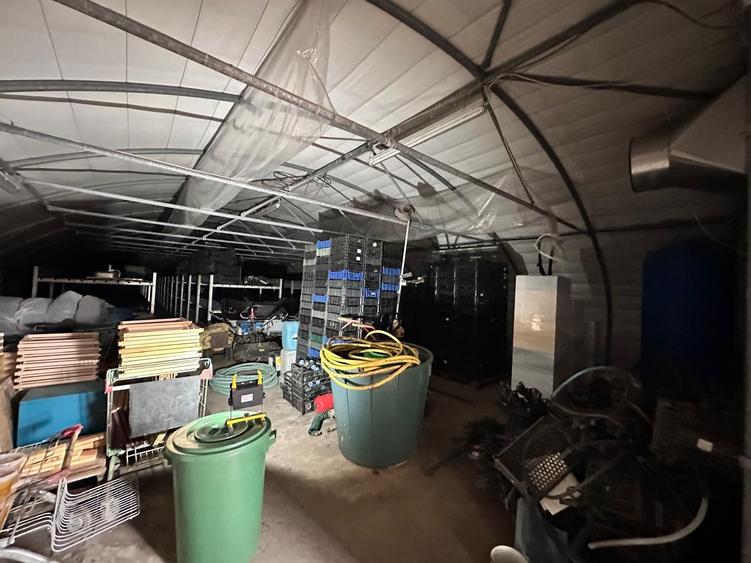 Hala/ cort ciupercarie, crestere pui, 400mp, Dumesti - 3