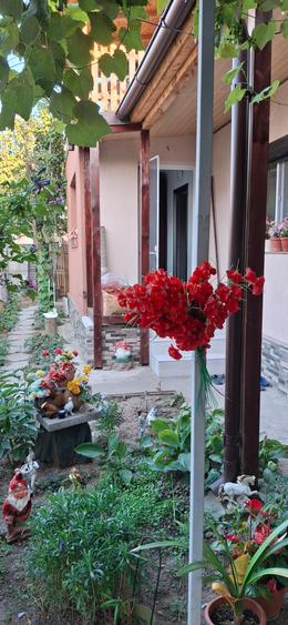 Vindem casa in Navodari - 10