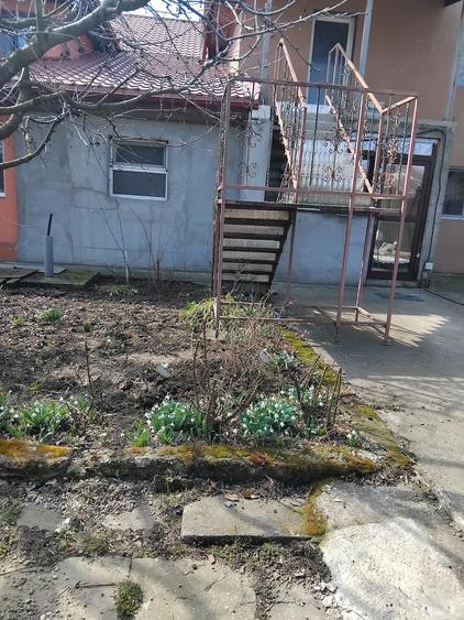 Casa + teren de vanzare - 2