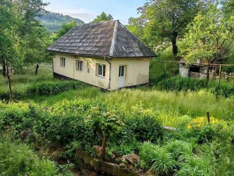Teren intravilan si gospodarie batraneasca in Cavnic - 5