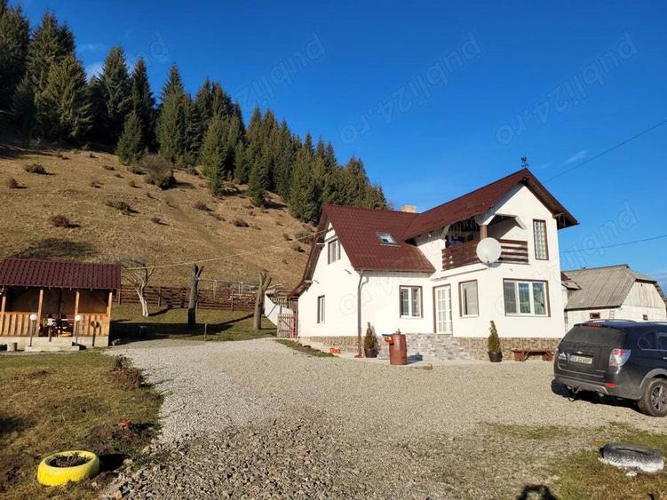 Vila+ teren de 2,2ha la 5 km de Vatra Dornei - 5