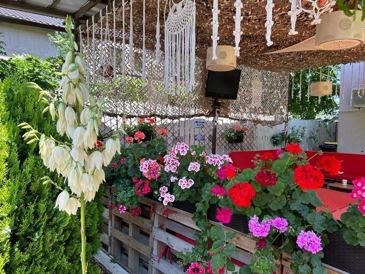 Ultracentral Pensiune Costinesti 19 Camere - 4