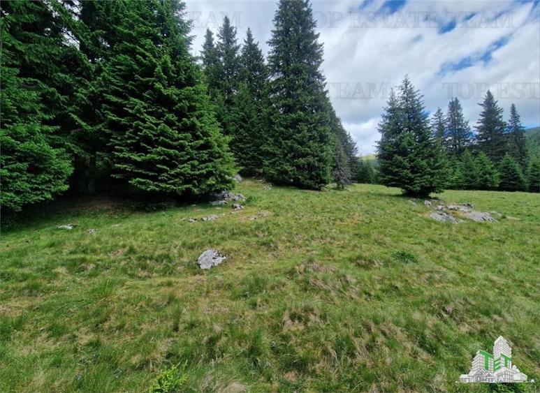 Teren intravilan de vanzare Padina/ Muntii Bucegi - 5