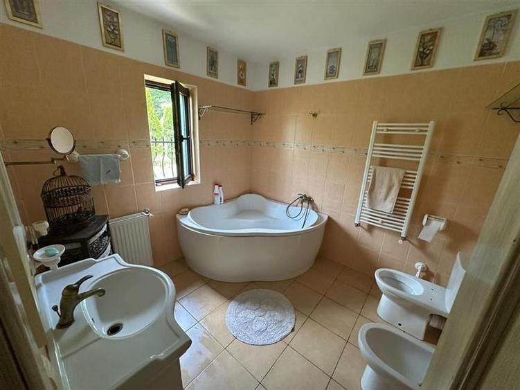 Casa deosebita in sat Podis - zona Dubas - 13