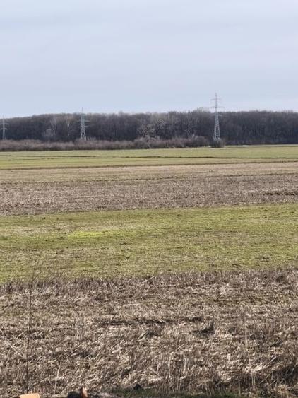 Teren Intravilan JILAVA - 6