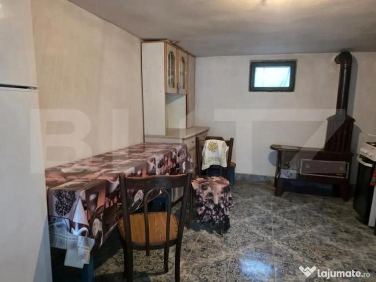 Casa cu teren generos ?i balta de pescuit Gae?ti - 13