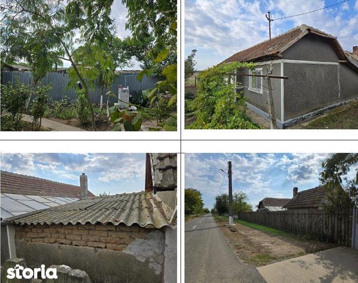 Casa si teren cota parte 1/8, sat Viisoara, com Cobadin, ID: R2982541 - 5