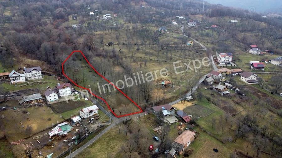 Teren de vanzare in comuna Arefu, jude? Arge?. - 19