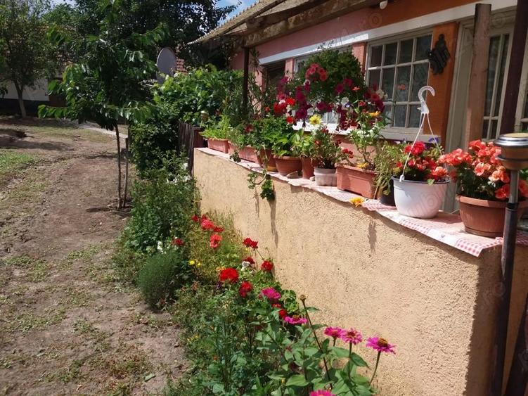Casa la tara - 1