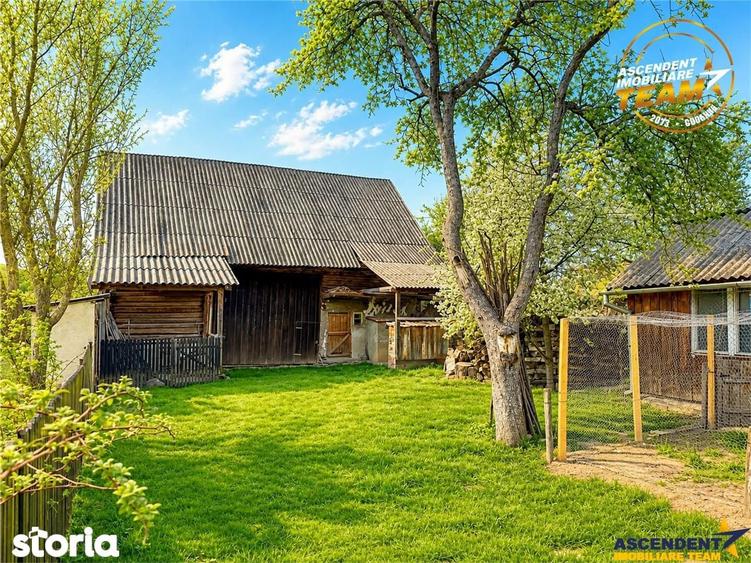 Casa cu farmec rustic + teren privat de 3.315 mp, Borosneul Mic, Covas - 11