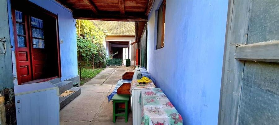 CASA CU TEREN 992 MP | SAT  SUPLACU DE TINCA | BIHOR - 15