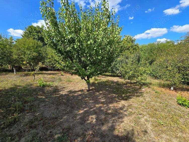 Casa de vanzare Frumu?ani, jud. Calara?i, aproape de Bucure?ti - 4