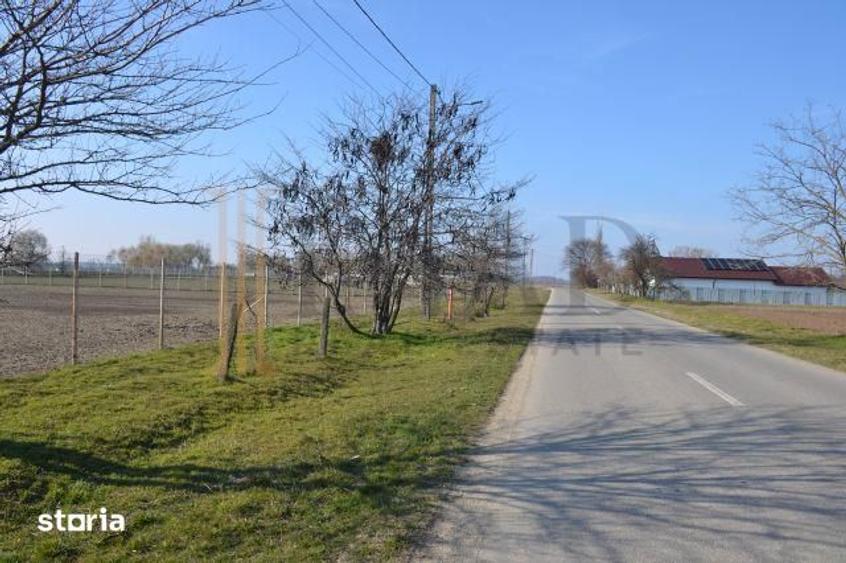 Vanzare Teren intravilan, 5600 mp in Mircea Voda - Dambovita. - 7
