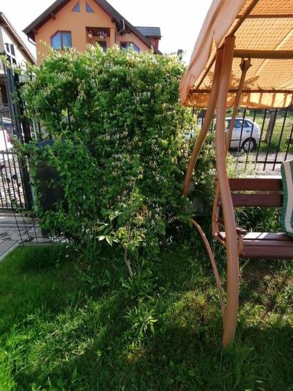 Casa tip duplex, 4 camere, 120 mp + 300 mp teren, zona Calea Baciului - 13