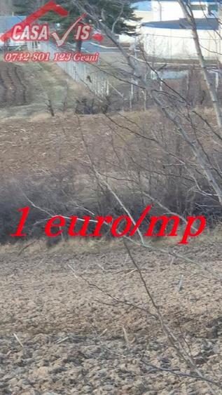 Teren 1 euro/mp pentru iarba verde - 7