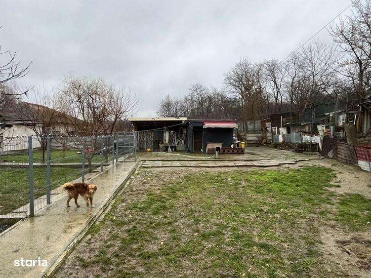 Teren intravilan 1000mp - 7