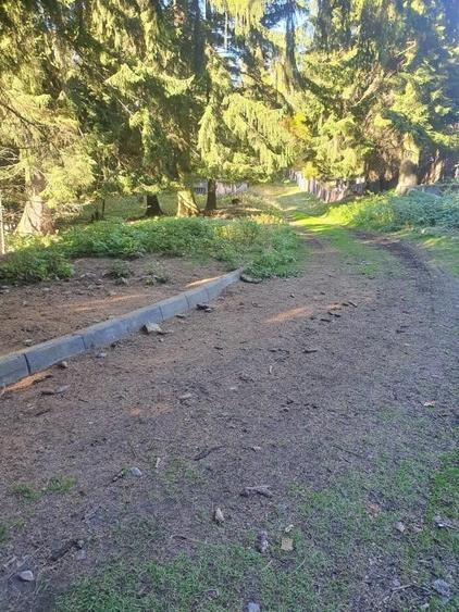 Teren Construcții intravilan de 2000 mp, în Poiana Brașov - 11