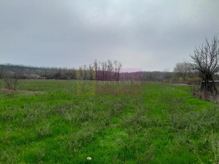 BARCANESTI - casa +curte+teren 16k mp - 18