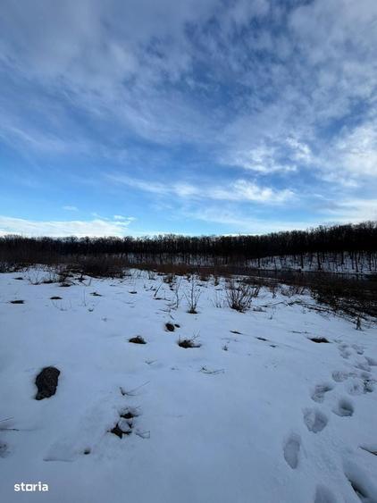 Teren intravilan de vanzare cu deschidere la lac, Branesti - 3