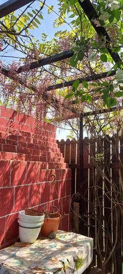 Particular vand casa Adunatii Copaceni - 1