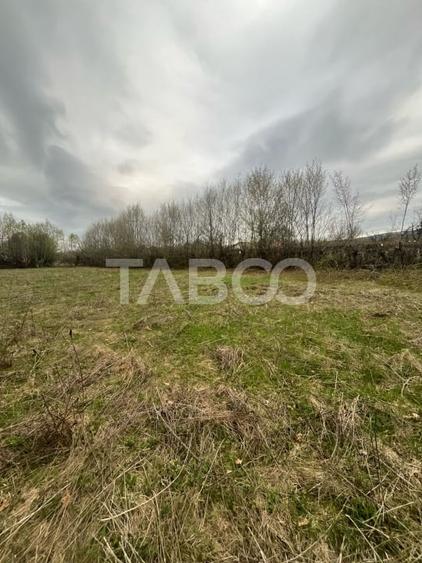 Teren intravilan de vanzare 550m front 21 m utilitati la 120m Cisnadie - 2