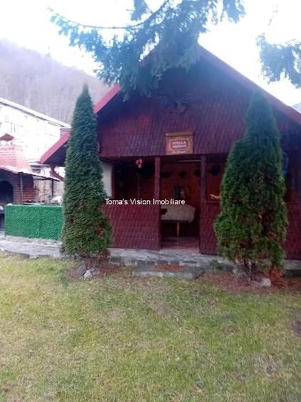 Vanzari Case / vile - 3