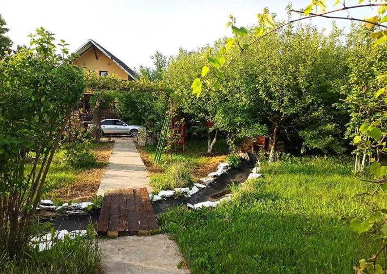 Casa ( P+E ) Zona Mitocasi-Mitocul Dragomirnei - 11