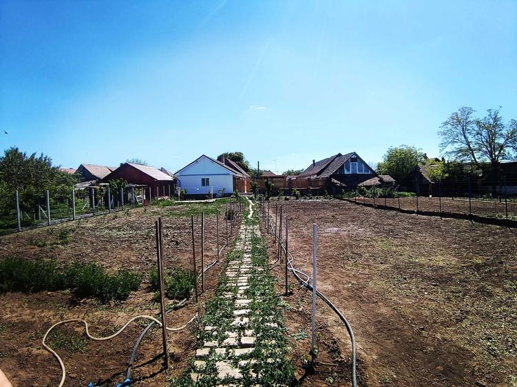 Casa de vanzare - 5