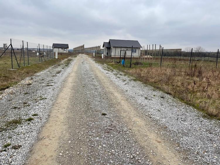 Vând teren intravilan în Cihei 500 mp front stradal 19 m cu PUD și PUZ - 1