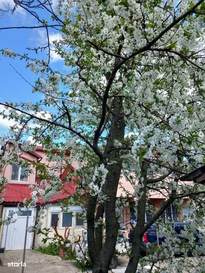Casa 5 camere: Movilita - 40 Km de Bucuresti - 8