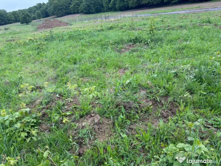 Teren de vanzare, zona linistita - 3