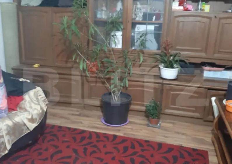 De vanzare casa 99 mp, teren 7,5 ari in Lazuri, Satu Mar - 4